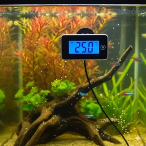 Kleines Thermometer als Aquarium Wasser Messgerät zur Temperaturkontrolle.